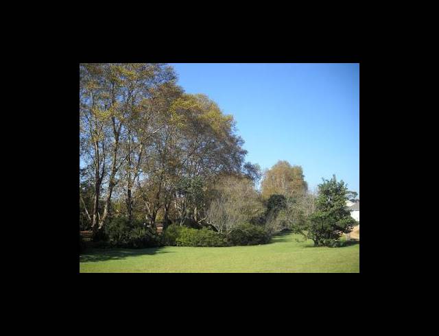 2,000M² VACANT LAND TO LET IN MONTROSE